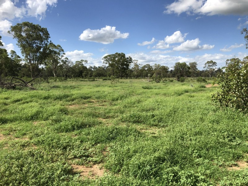 0 Rayners Road, Hodgson QLD 4455