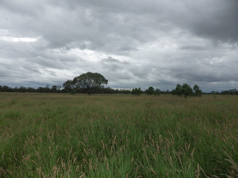 0 Rayners Road, Hodgson QLD 4455