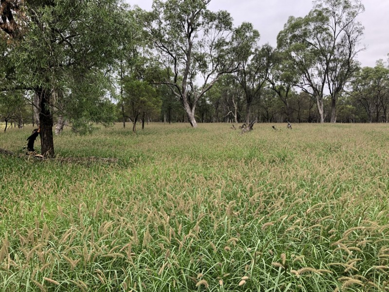 Lot 29 Seventeen Mile Lane, Roma QLD 4455