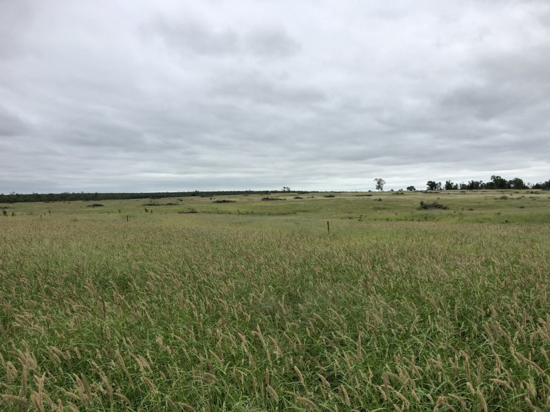 Lot 29 Seventeen Mile Lane, Roma QLD 4455