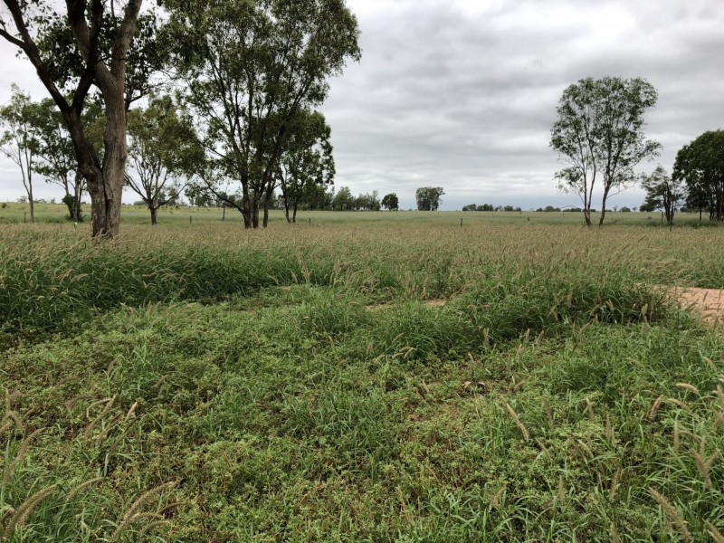 Lot 29 Seventeen Mile Lane, Roma QLD 4455