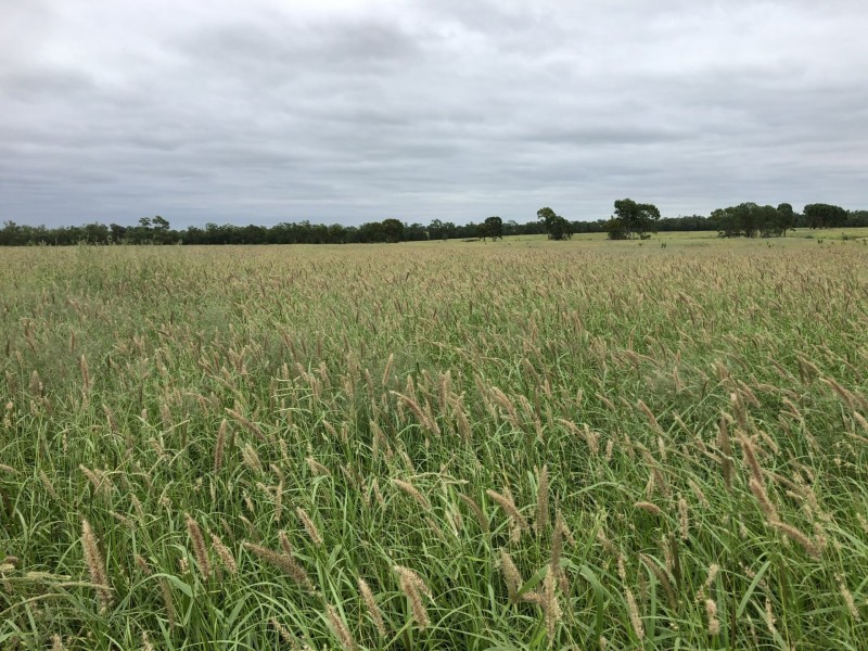 Lot 29 Seventeen Mile Lane, Roma QLD 4455