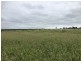 Roma QLD 4455