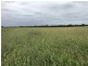 Roma QLD 4455