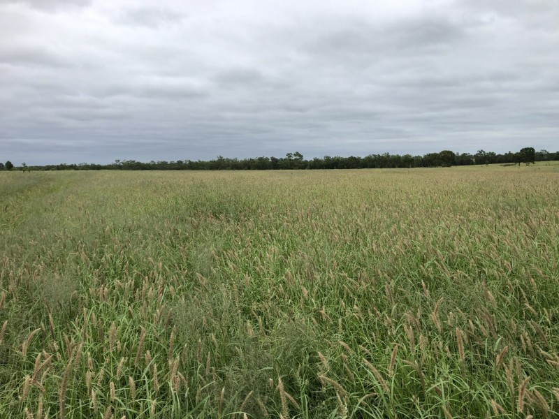 Roma QLD 4455