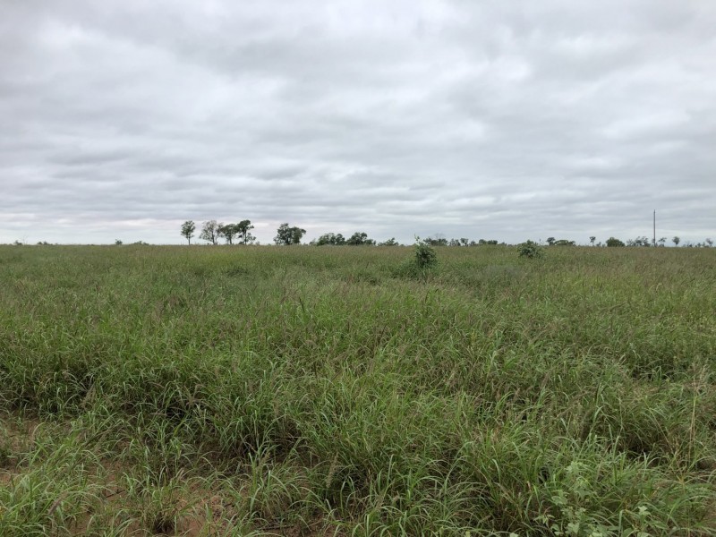 Roma QLD 4455