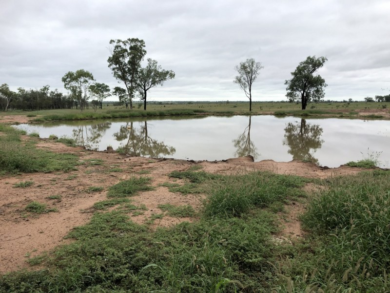 Roma QLD 4455