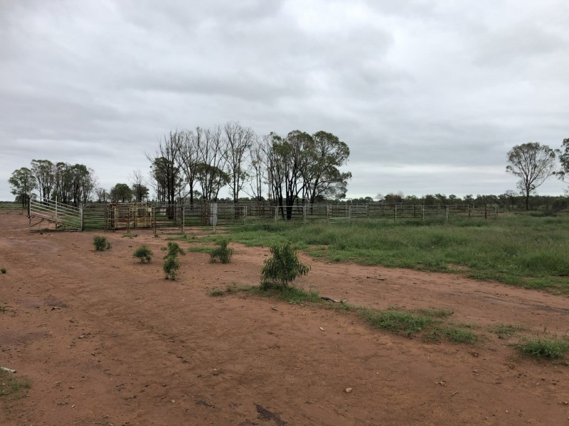Roma QLD 4455