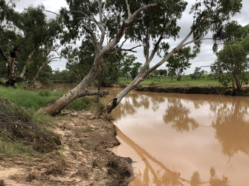 Roma QLD 4455