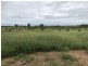 Roma QLD 4455