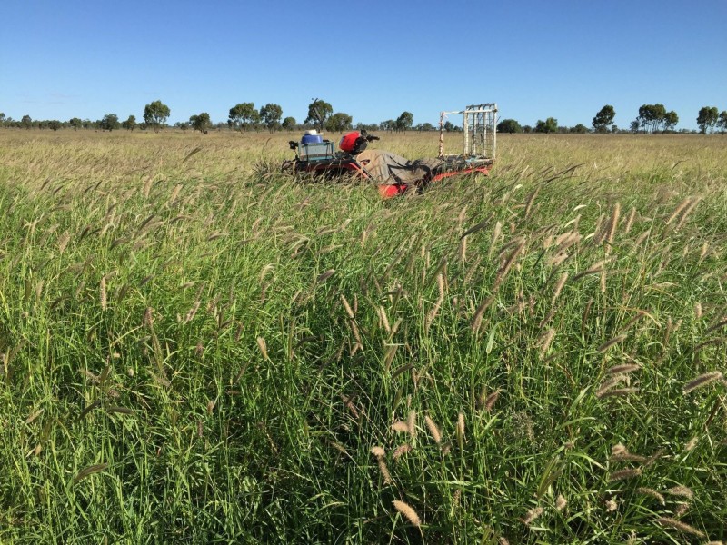 2 Foilview Road, Roma QLD 4455