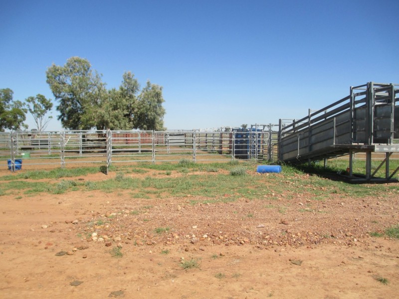 2 Foilview Road, Roma QLD 4455