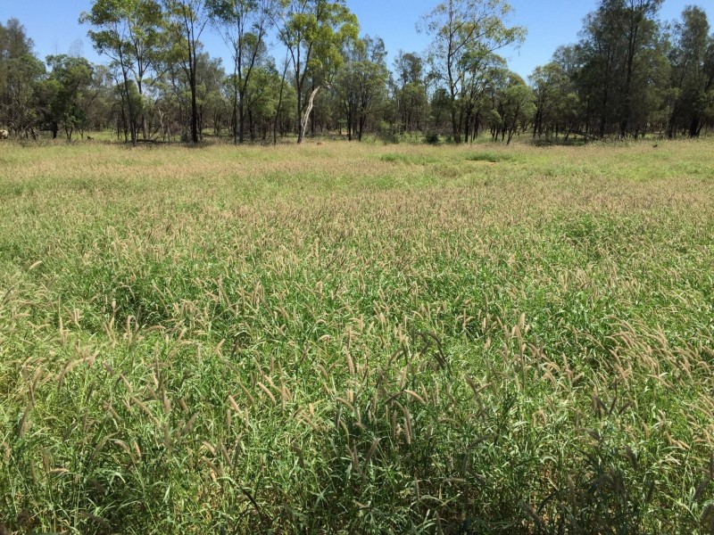 2 Foilview Road, Roma QLD 4455