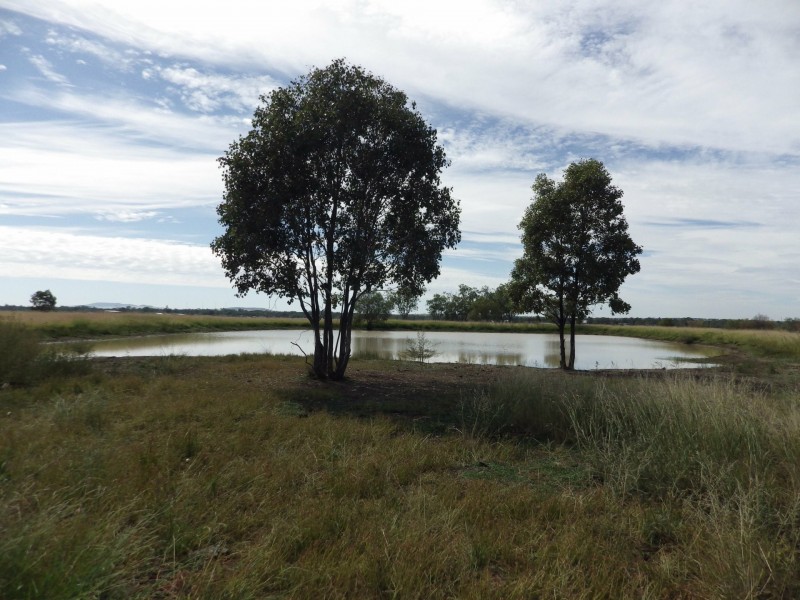 334 Bassett Lane, Roma QLD 4455