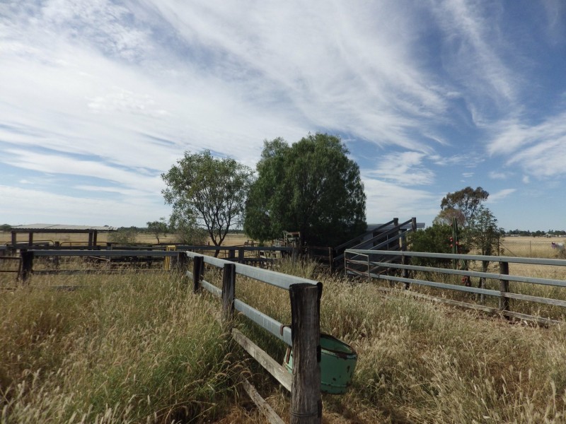 334 Bassett Lane, Roma QLD 4455