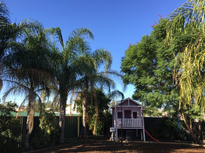 36 Downs Street, Roma QLD 4455