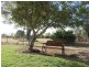 941 Orallo Road, Roma QLD 4455