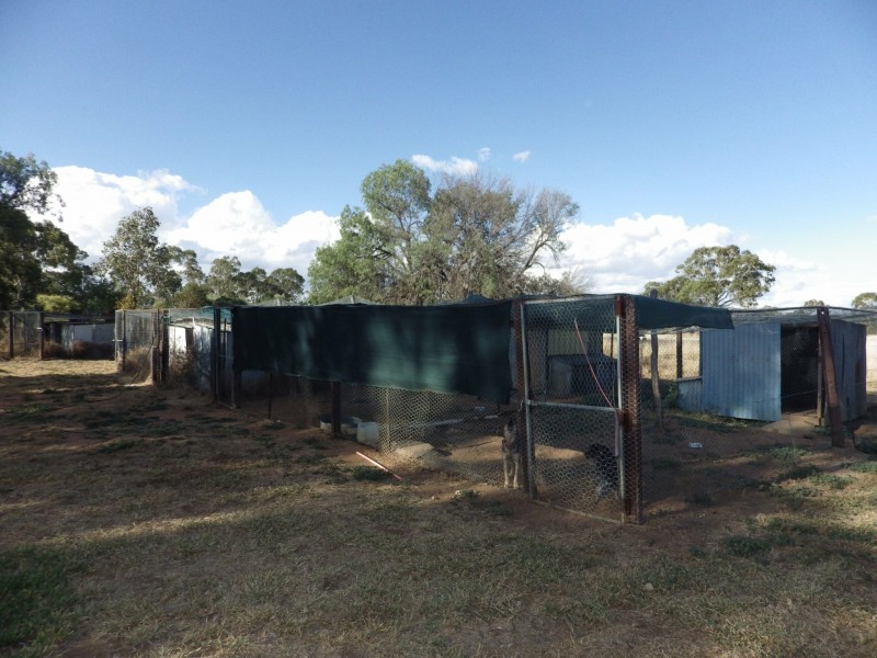 941 Orallo Road, Roma QLD 4455