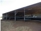 941 Orallo Road, Roma QLD 4455
