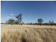 941 Orallo Road, Roma QLD 4455