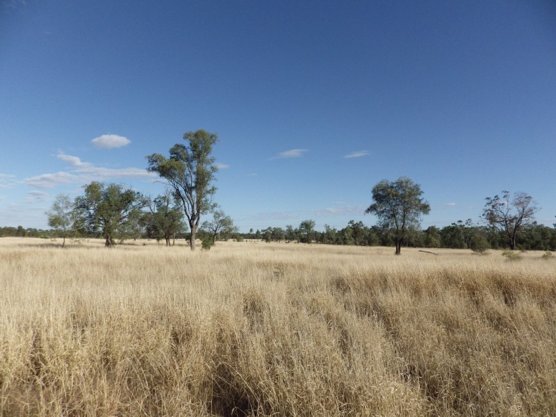 941 Orallo Road, Roma QLD 4455