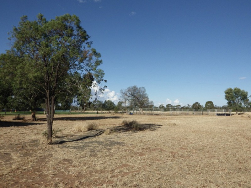 941 Orallo Road, Roma QLD 4455