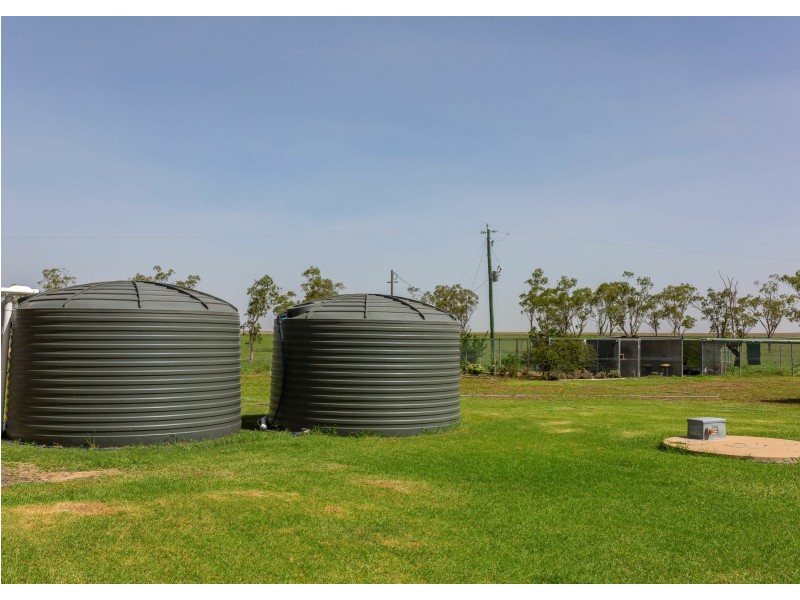 437 Bindango Road, Roma QLD 4455