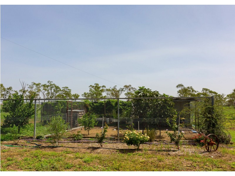 437 Bindango Road, Roma QLD 4455