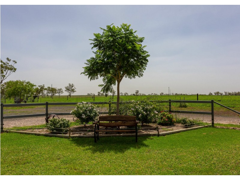 437 Bindango Road, Roma QLD 4455