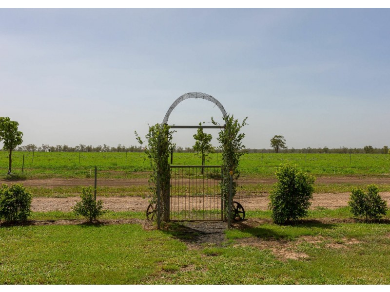 437 Bindango Road, Roma QLD 4455