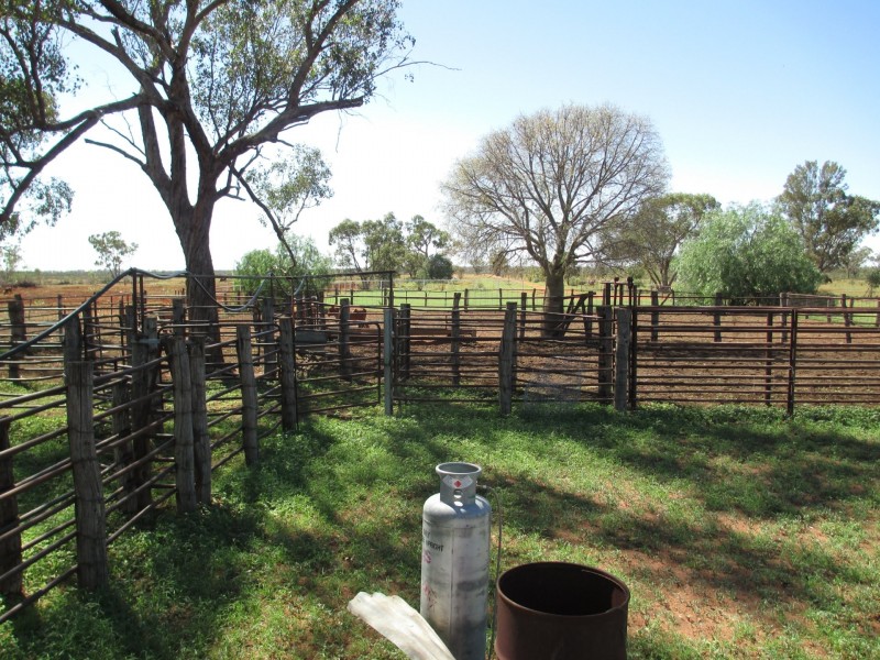 14677 Charleville-Bollon Road, Morven QLD 4468