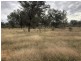 14677 Charleville-Bollon Road, Morven QLD 4468