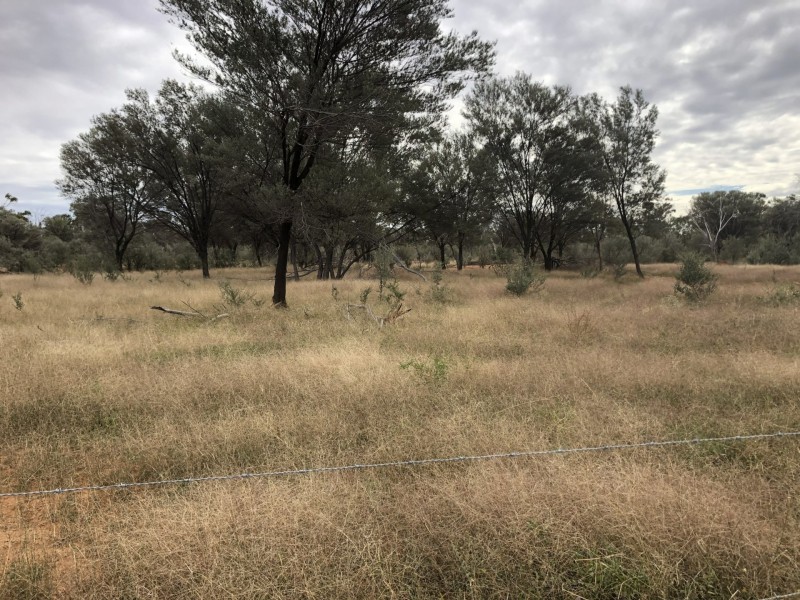 14677 Charleville-Bollon Road, Morven QLD 4468