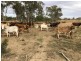 14677 Charleville-Bollon Road, Morven QLD 4468