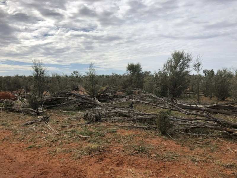 14677 Charleville-Bollon Road, Morven QLD 4468
