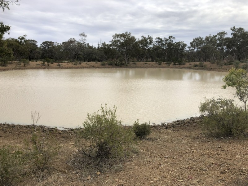 14677 Charleville-Bollon Road, Morven QLD 4468