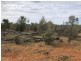 14677 Charleville-Bollon Road, Morven QLD 4468