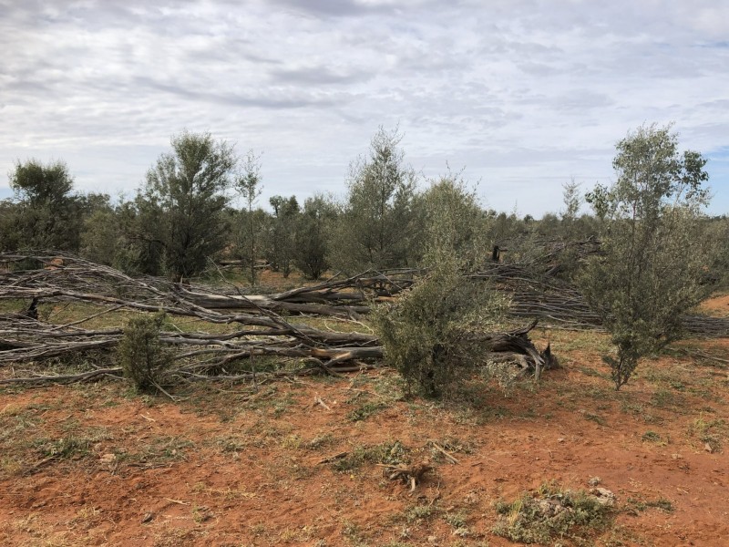 14677 Charleville-Bollon Road, Morven QLD 4468