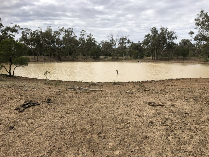 14677 Charleville-Bollon Road, Morven QLD 4468