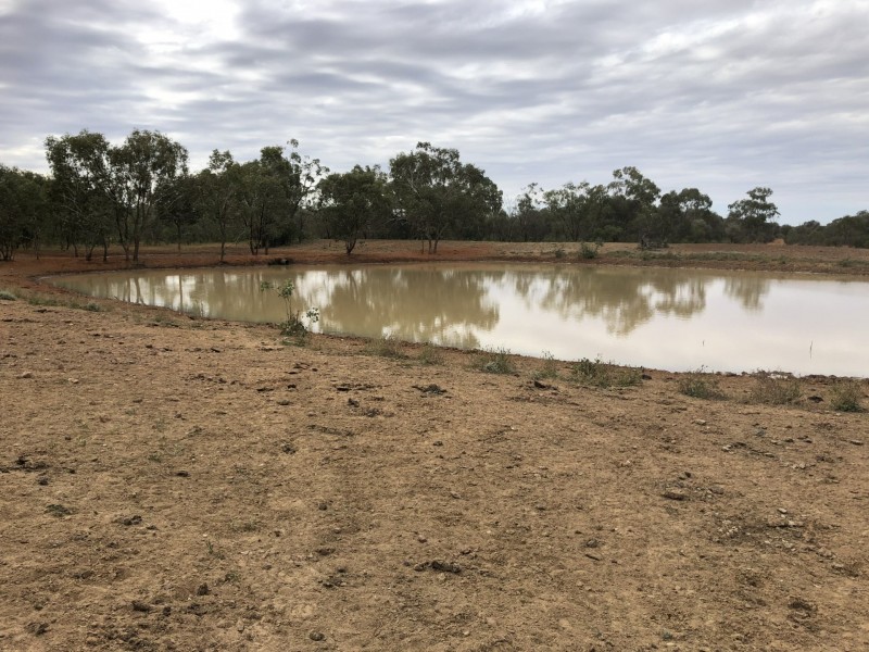 14677 Charleville-Bollon Road, Morven QLD 4468