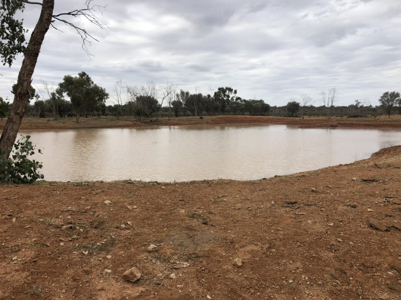 14677 Charleville-Bollon Road, Morven QLD 4468