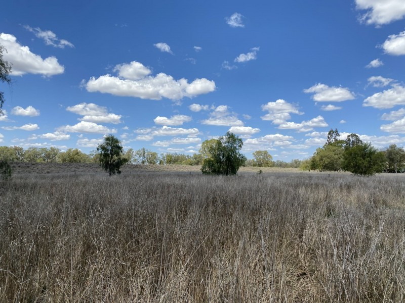 138 Edwardes Street, Roma QLD 4455