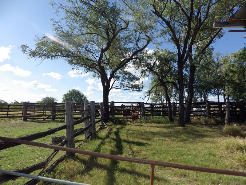 ‘Glen Hill Caranarvon Highway, Injune QLD 4454