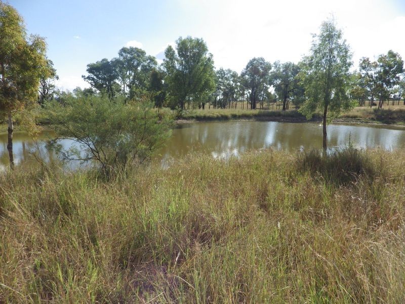 ‘Glen Hill Caranarvon Highway, Injune QLD 4454