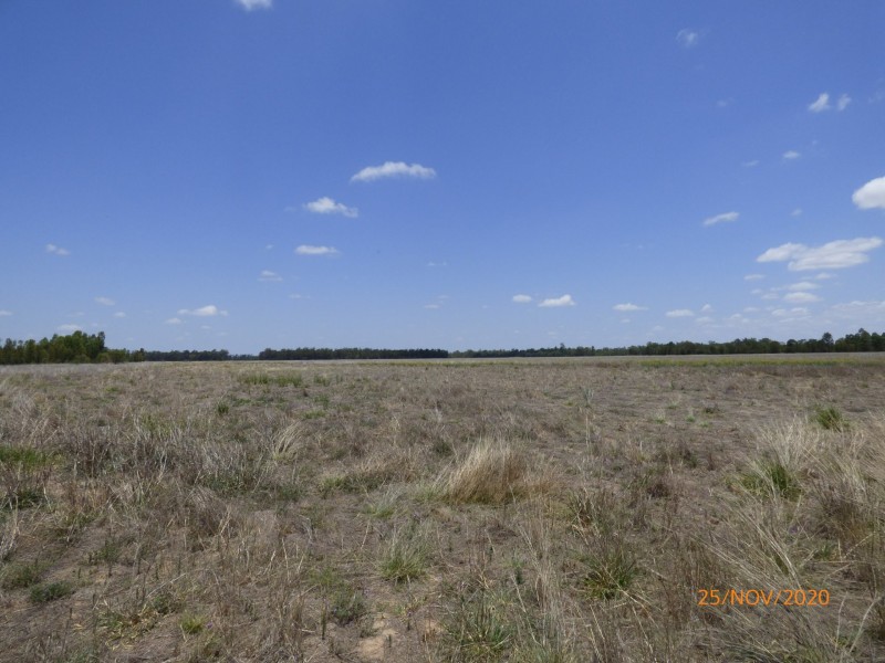 1605 & 126 Burra Burri Creek Road, Chinchilla QLD 4413