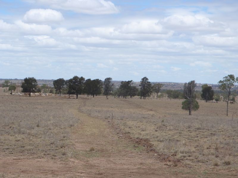 Carnarvon Development Road, Injune QLD 4454