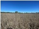 Lot 3 Burtons Rd, Orange Hill QLD 4455