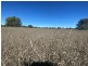 Lot 3 Burtons Rd, Orange Hill QLD 4455