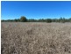 Lot 3 Burtons Rd, Orange Hill QLD 4455