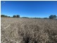 Lot 3 Burtons Rd, Orange Hill QLD 4455